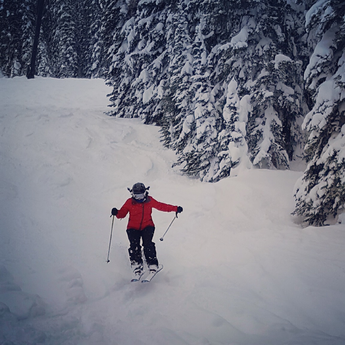 McCluskey shows good form as she races down a mogul field in the famous powder snow of the Colorado mountains. 