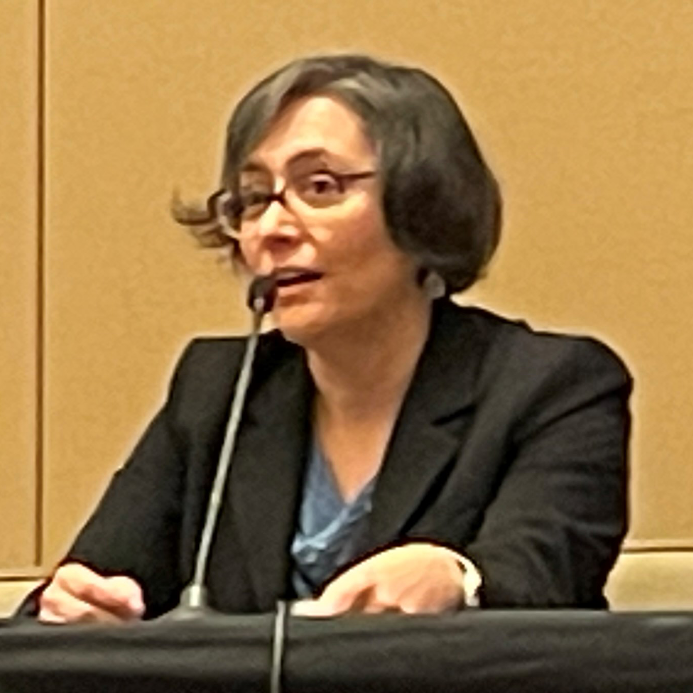 ASR Program Manager Shaima Nasiri spoke at an AGU24 town hall panel about "Insights for Early Career Scientists."